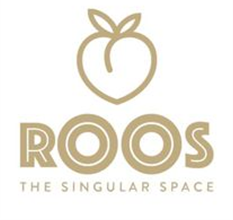 ROOS The Singular Space